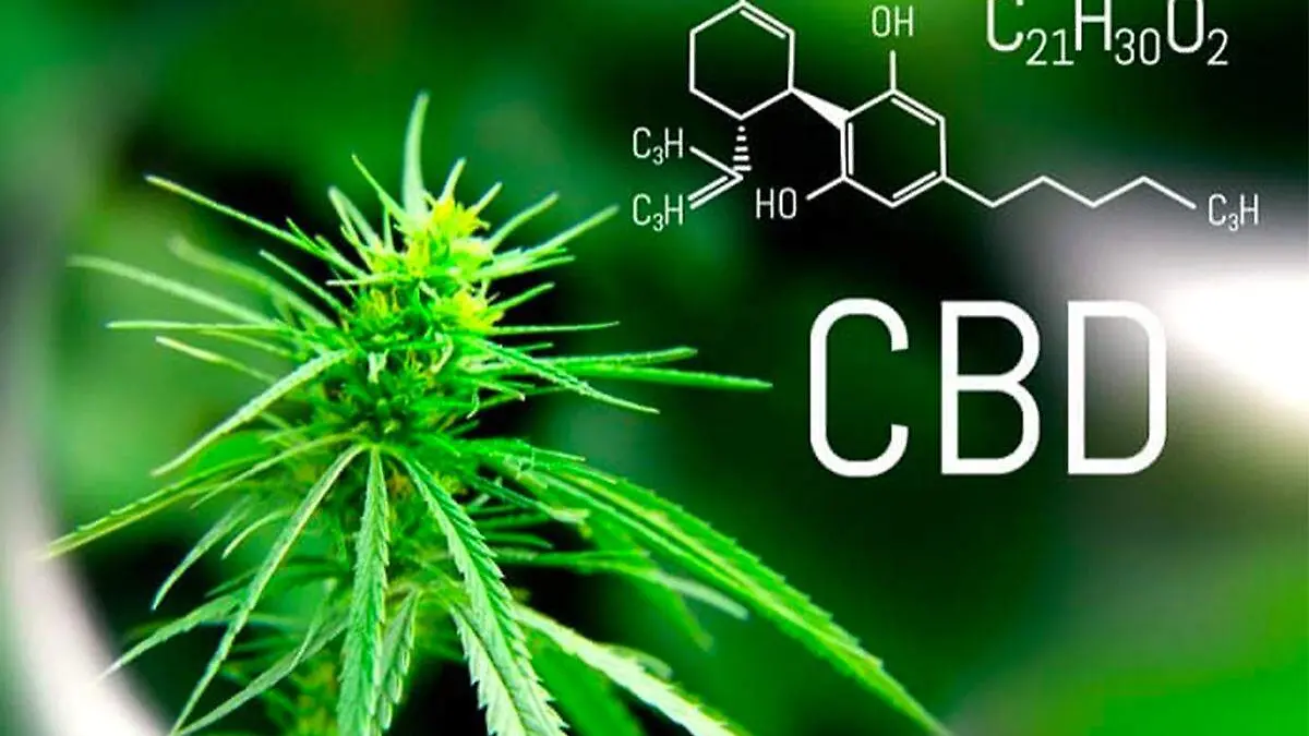 CBD