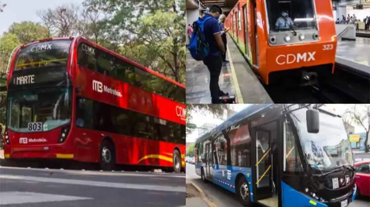collage-transportepublico