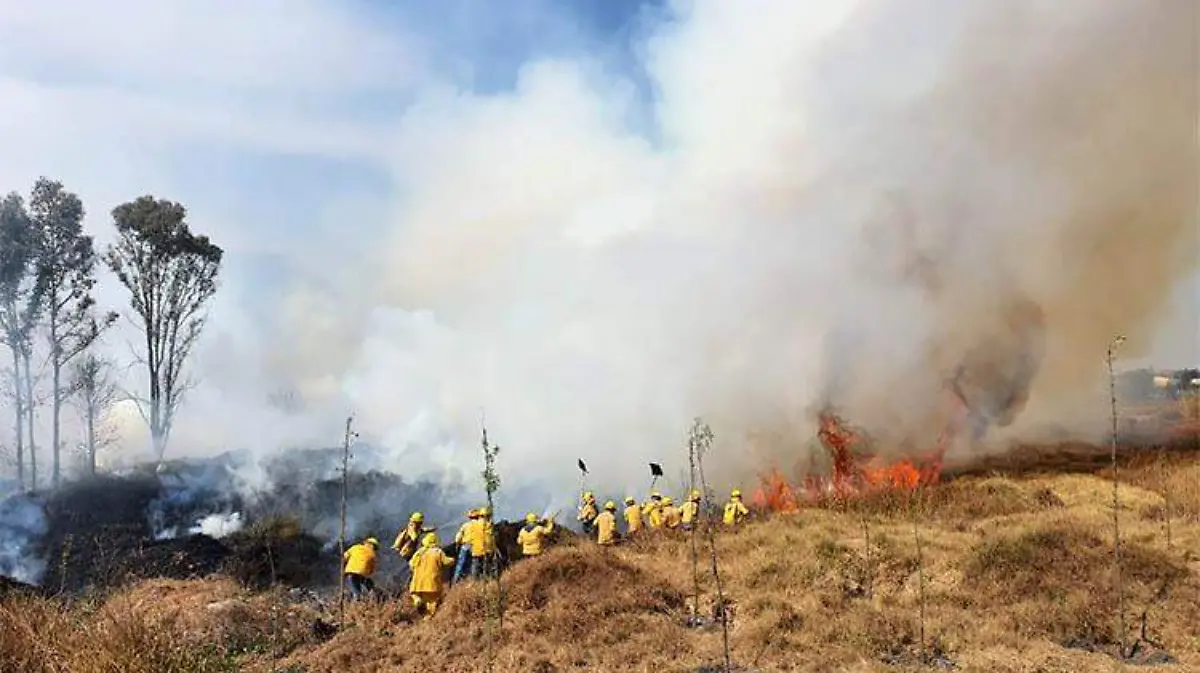 incendio-pastizales