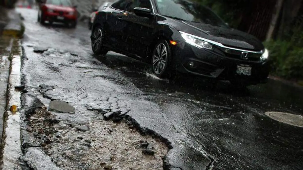 bache auto3