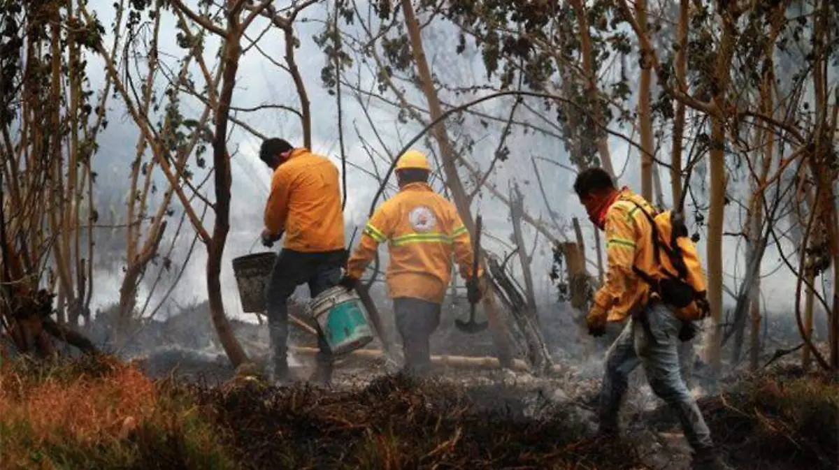 incendio-iztapalapa-ntmx