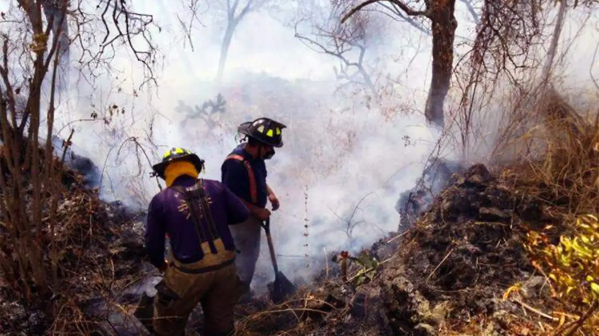Se reaviva incendio en Fuentes del Pedregal(2)jpg