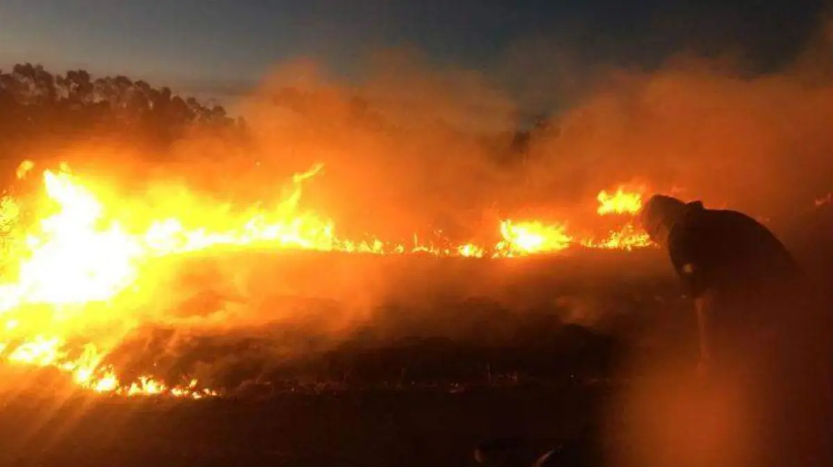 dos incendio xochimilco MEDIO AMBIENTE