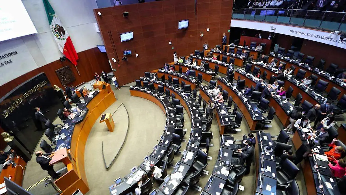 Senado