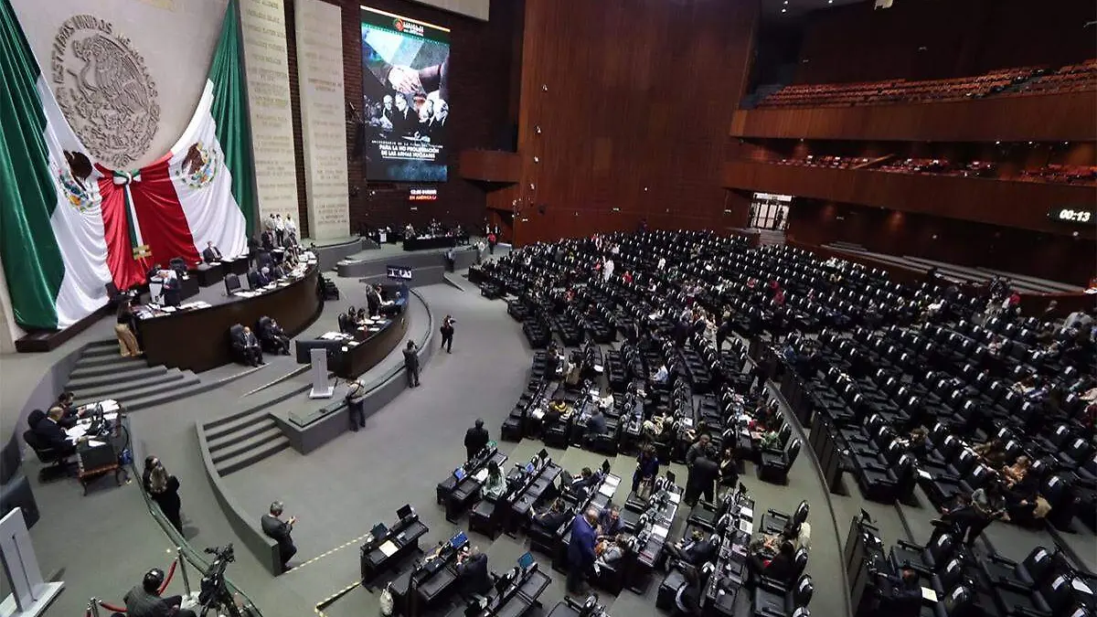 Laura Lovera diputados