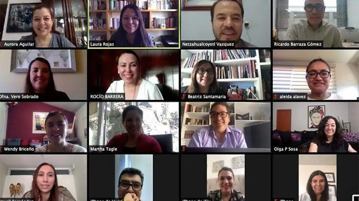 diputados-videochats