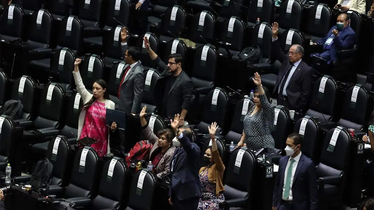 diputados