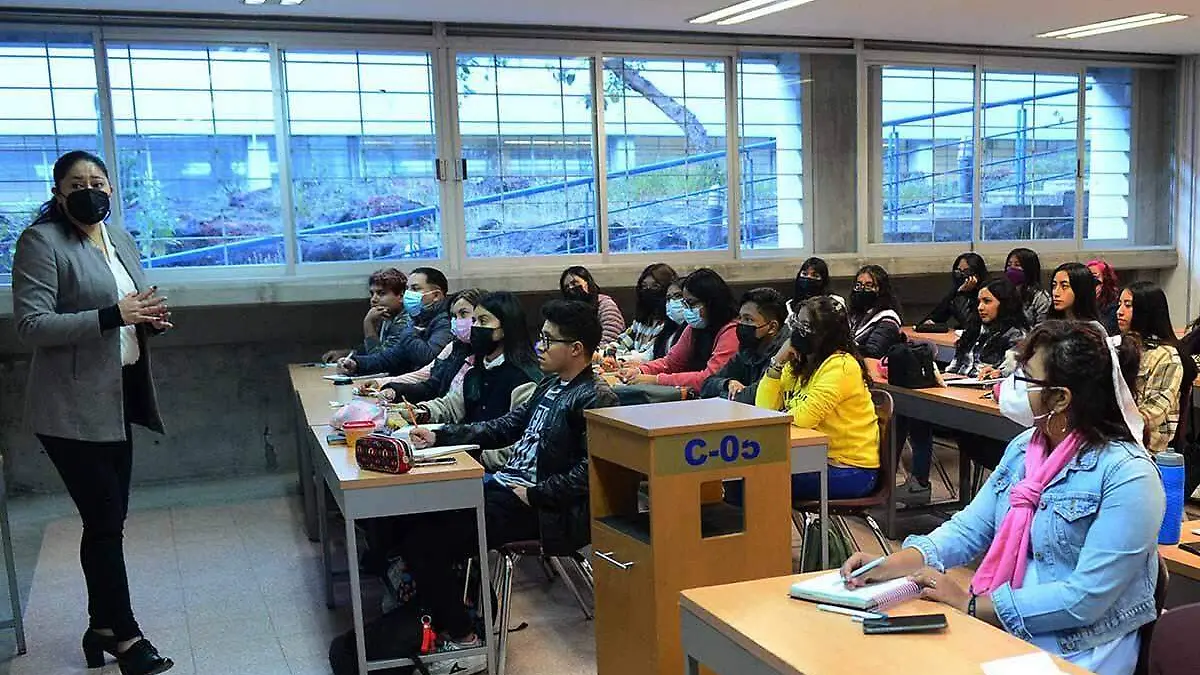 Maestra universitaria