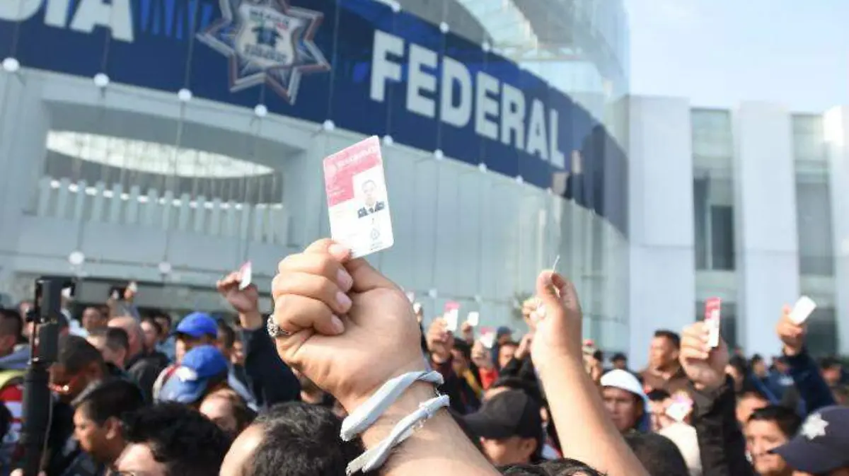 policía federal DANIEL GALEANA