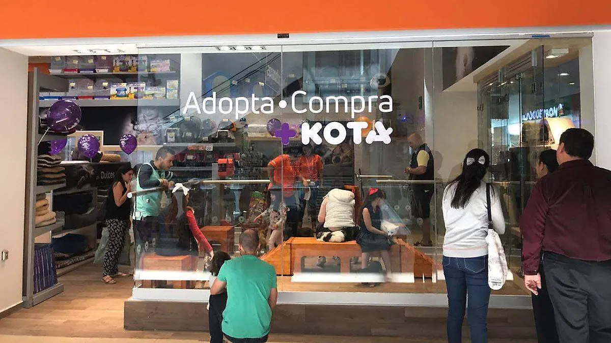 Tienda Mascota
