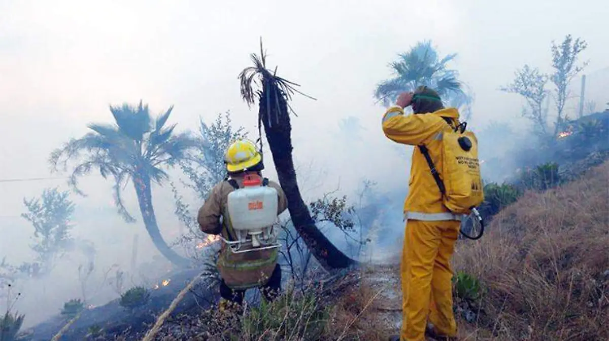 incendio-acapulco