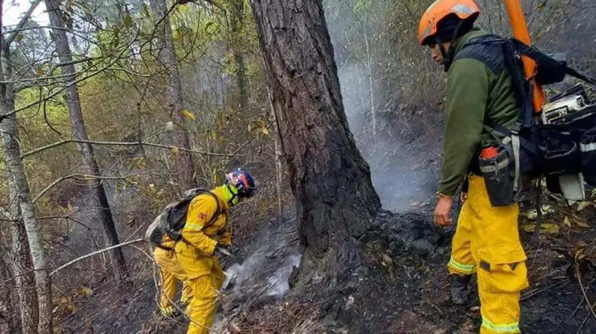 Controlan incendio en Sierra de Santiago