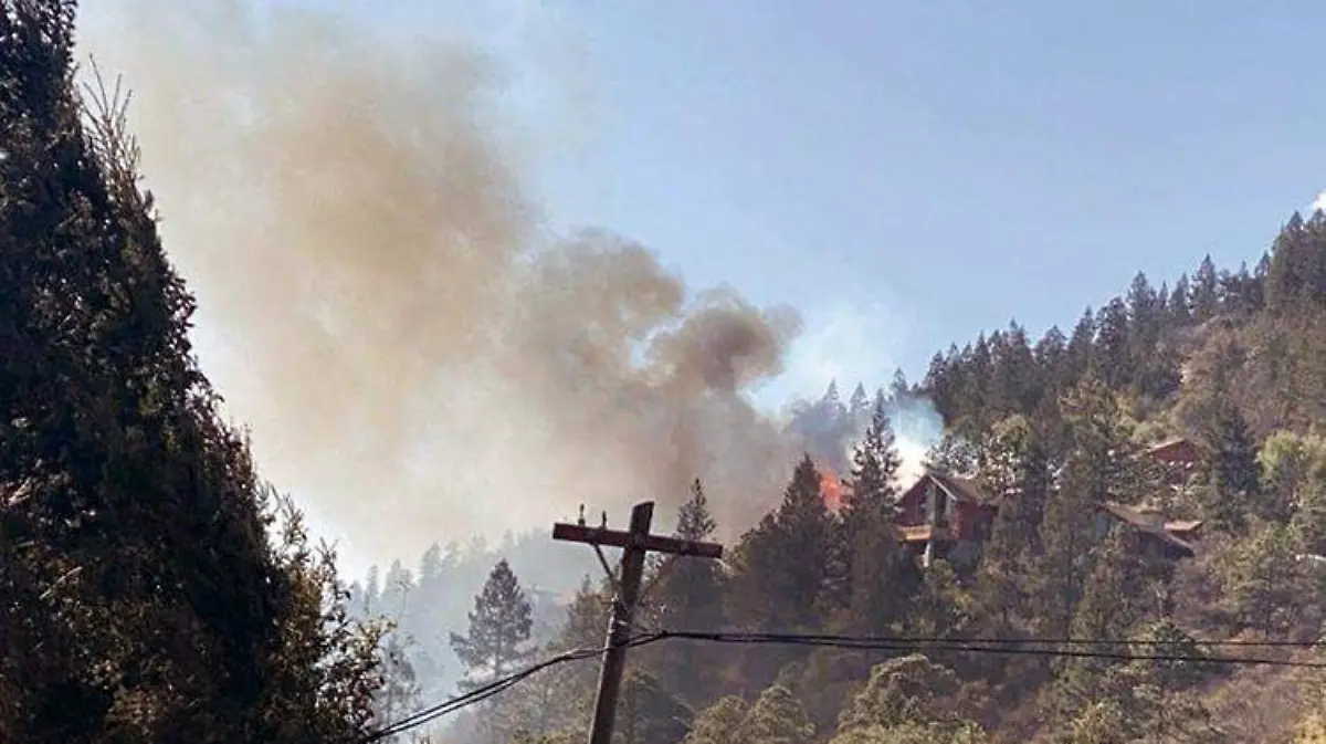 incendios NL1