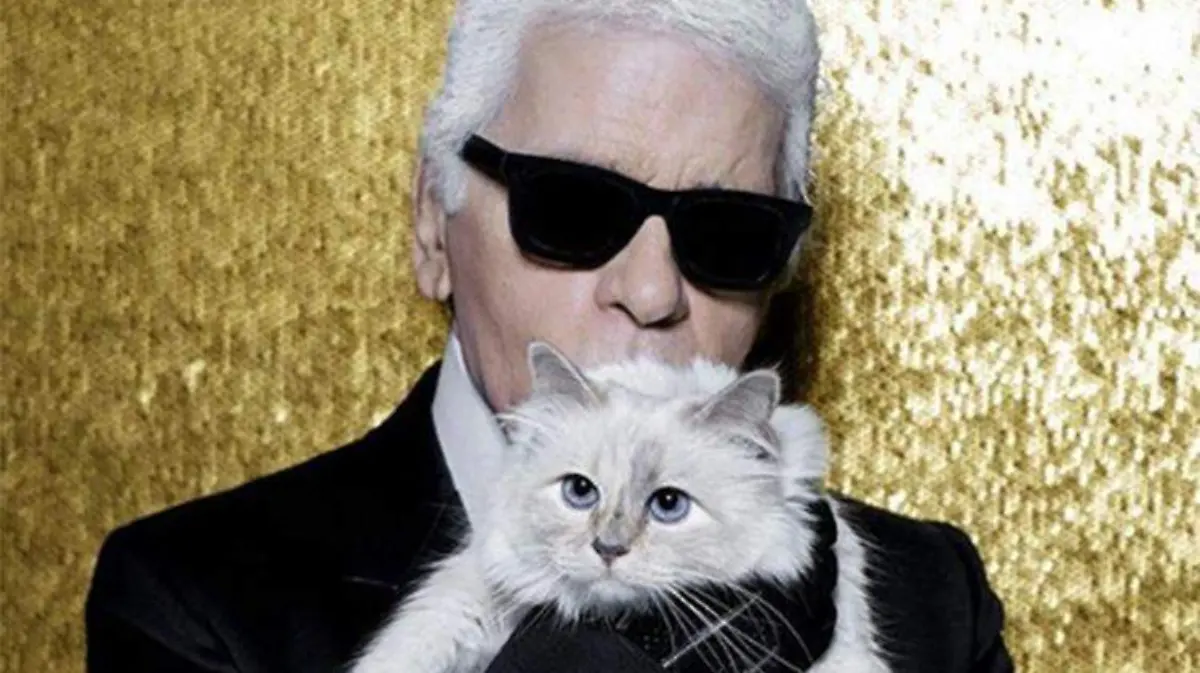 karl-choupette-gatita4