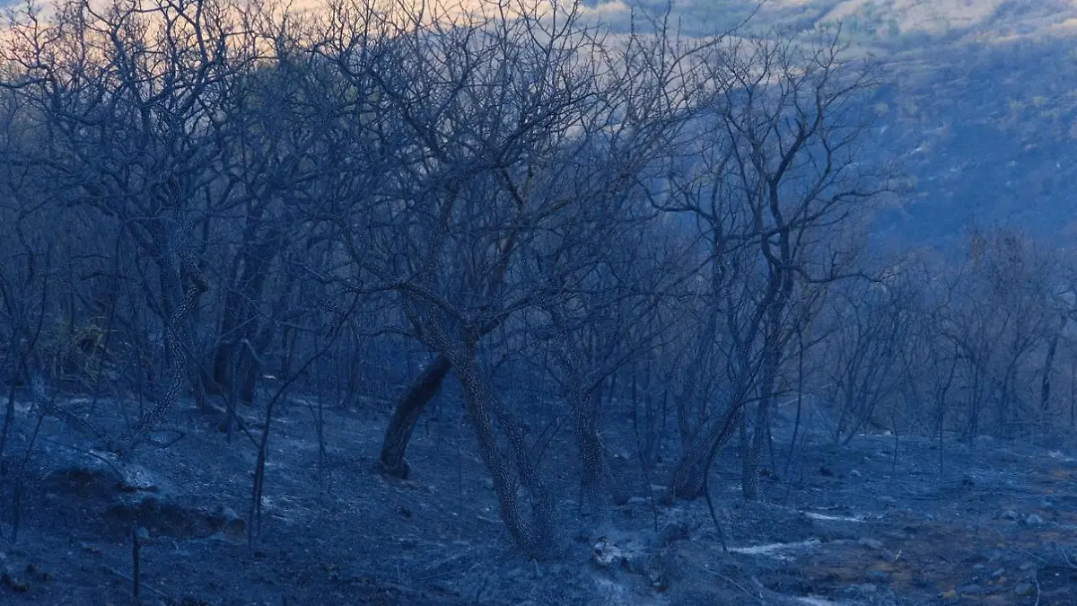 incendio forestal Oaxaca
