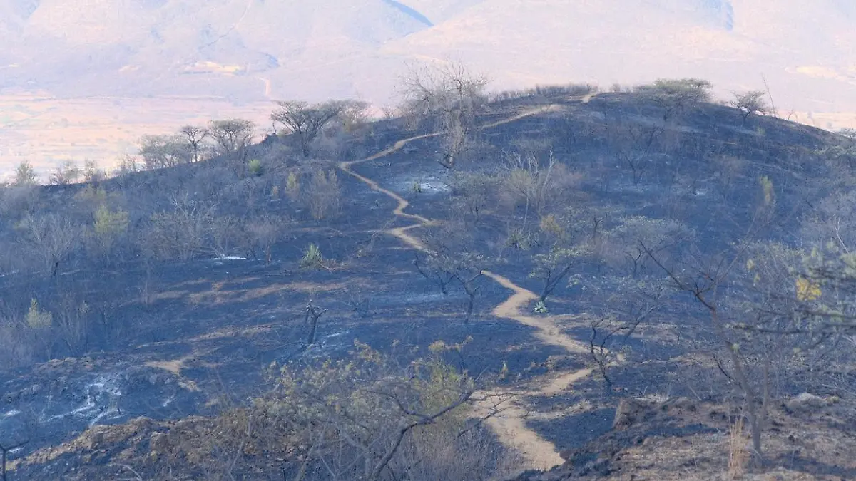 incendio forestal Oaxaca