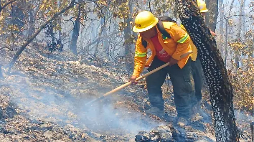 incendio_coesfo_1