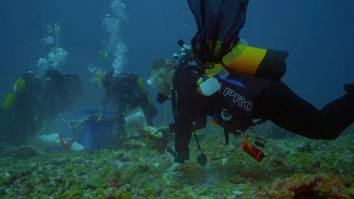 In the heart of the Indian Ocean atolls. Aboard a scientific expedition 4_79350-2x.
