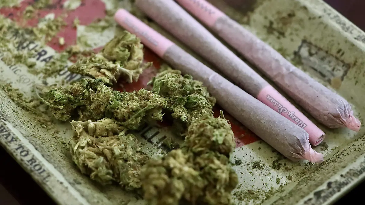 MARIHUANA - Fco Meza (12).JPG