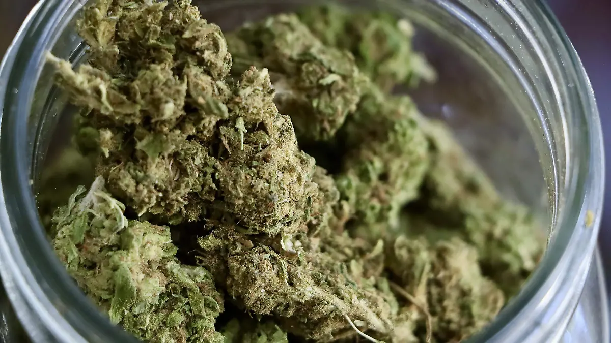 MARIHUANA - Fco Meza (11).JPG