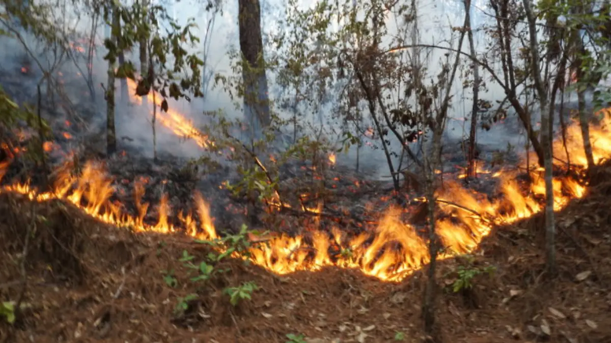 incendio