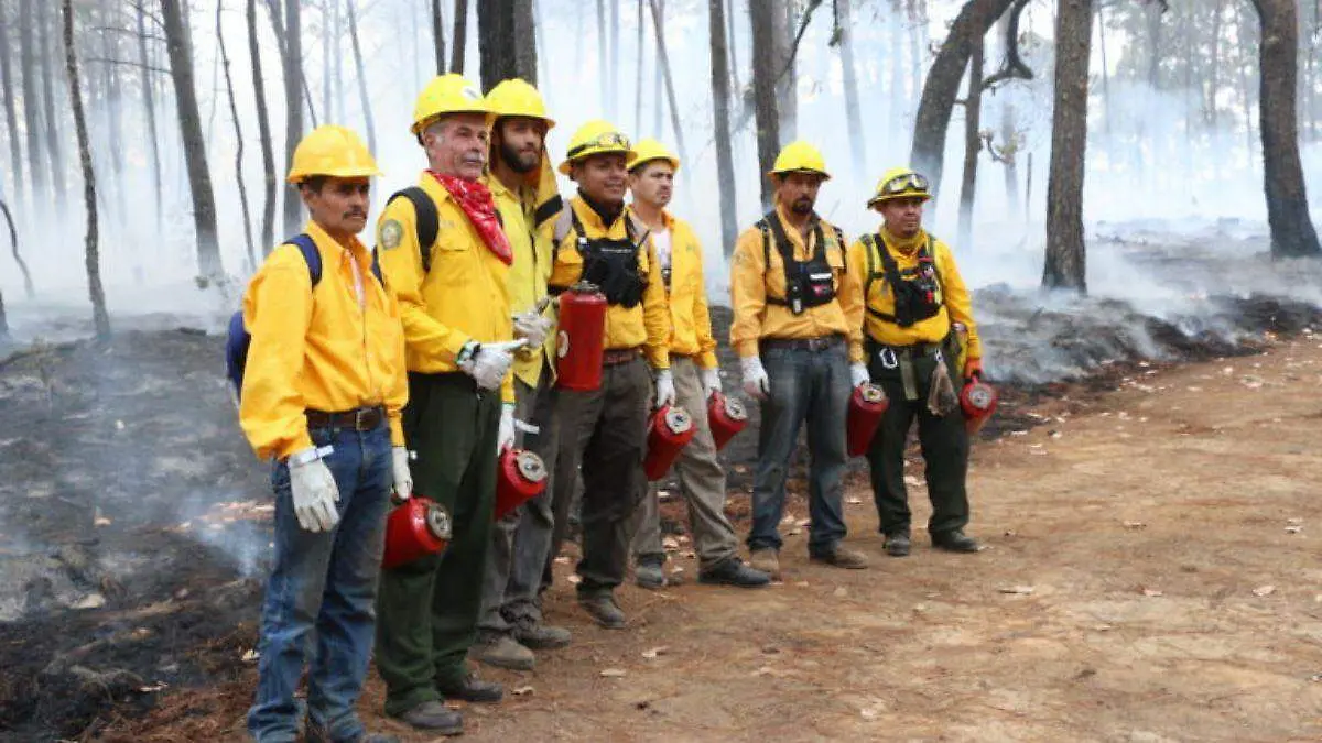 Brigada de ignición en una quema prescrita en el ejido Ahuacapán (RBSM), 2020. Foto: cortesía Enrique Jardel