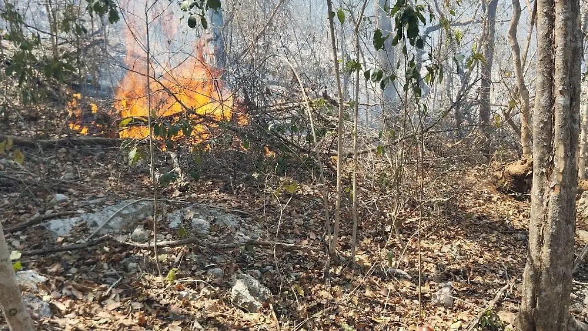 Incendios forestales Campeche 2