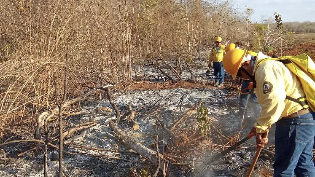 Incendios forestales Campeche