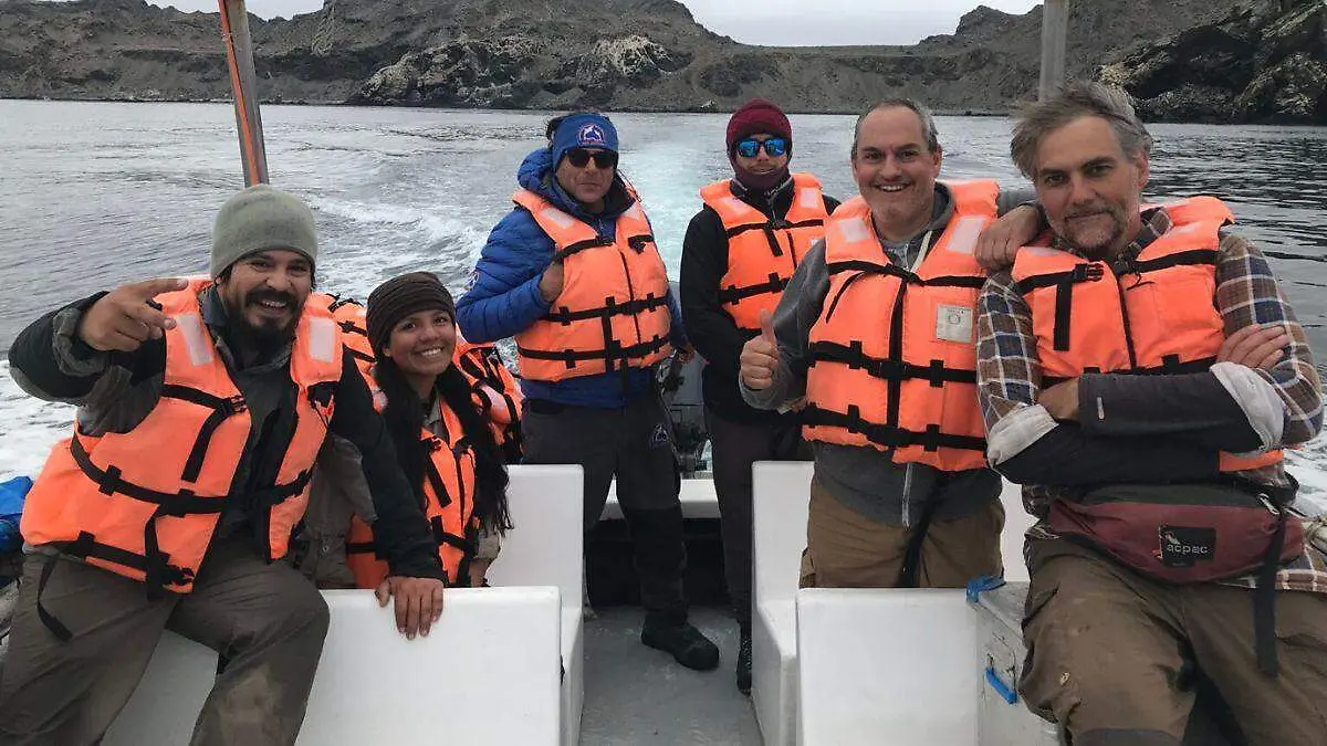 Día Mundial de los Pingüinos tres proyectos para salvarlos (5)