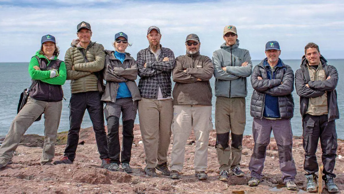 Día Mundial de los Pingüinos tres proyectos para salvarlos (8)