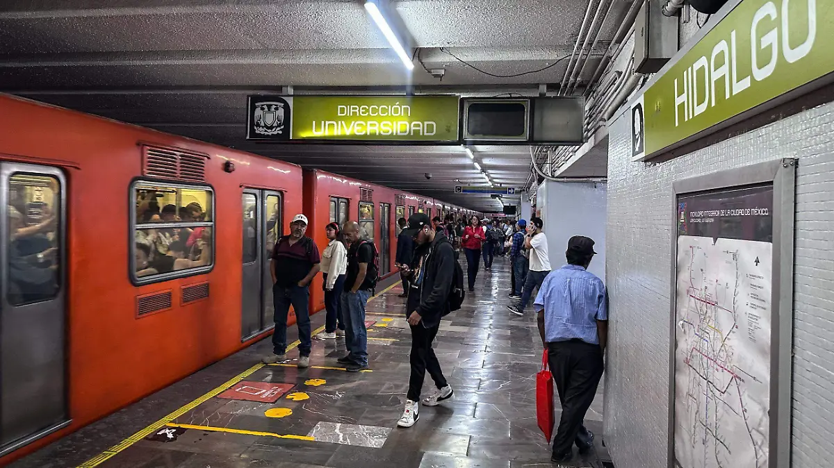 1028749_Aspecto Metro Hidalgo_impreso