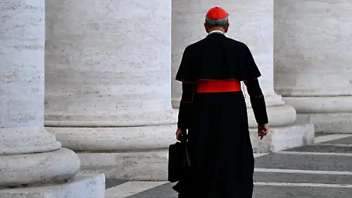 AFP__20250503__44CR6H6__v1__Preview__VaticanReligionPope
