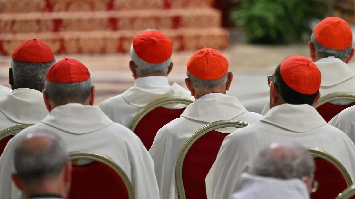 AFP__20250503__44DE2X2__v1__Preview__VaticanReligionPopeMass