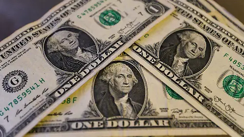 1014833_Aspectos billetes dólar_web