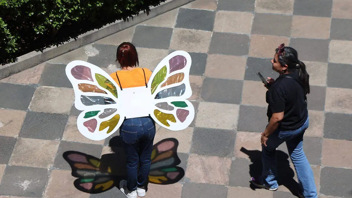 1026609_Alas de Mariposa, cotidiana_web
