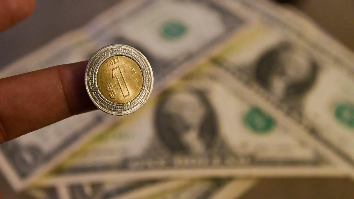 1014831_Aspectos billetes dólar_web