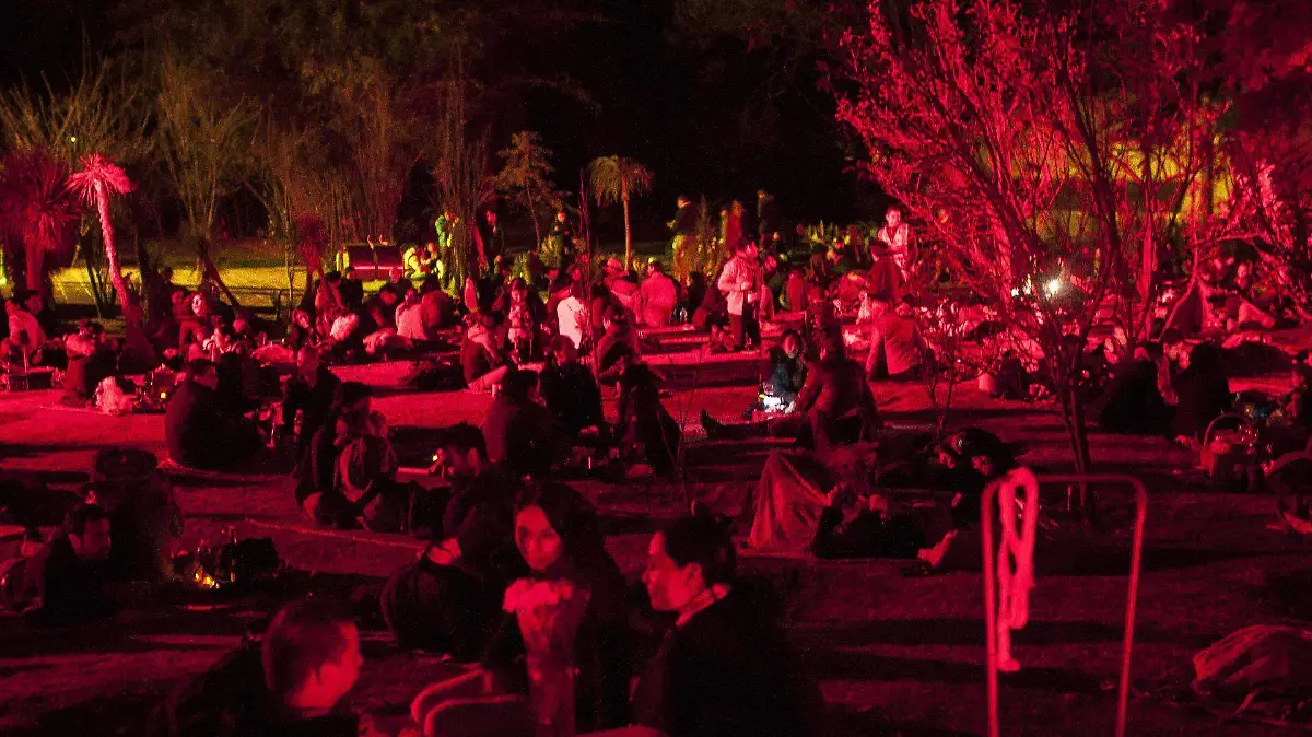 589074_Picnic Chapultepec _web