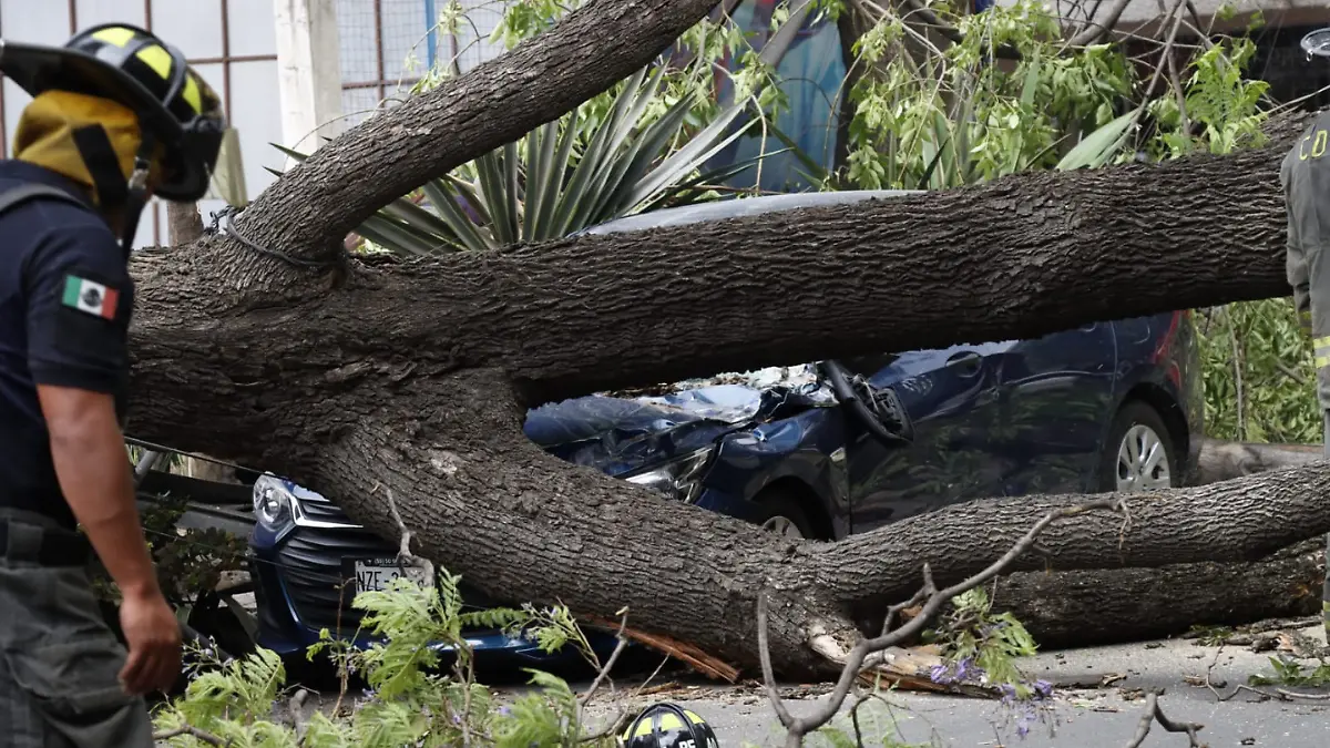 Vientos en la CDMX jAIME lLERA 1 lA pRENSA 