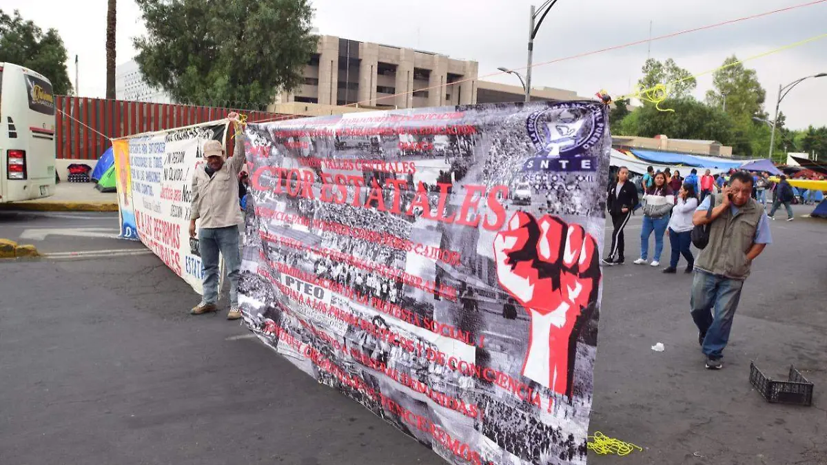 CNTE Movilizaciones Protestas Cámara de Diputados laura lovera 2