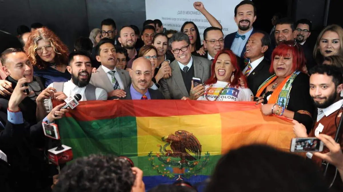 senado-seguridad-social-gay-homosexuales-lgbti (4)