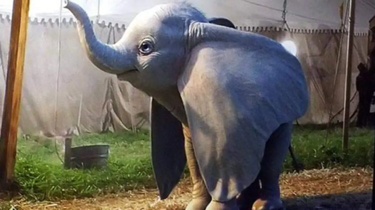 dumbo-timburton