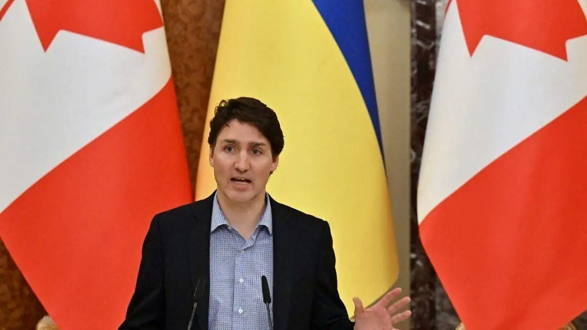 Diseño sin título - 2022-05-17T194411.606