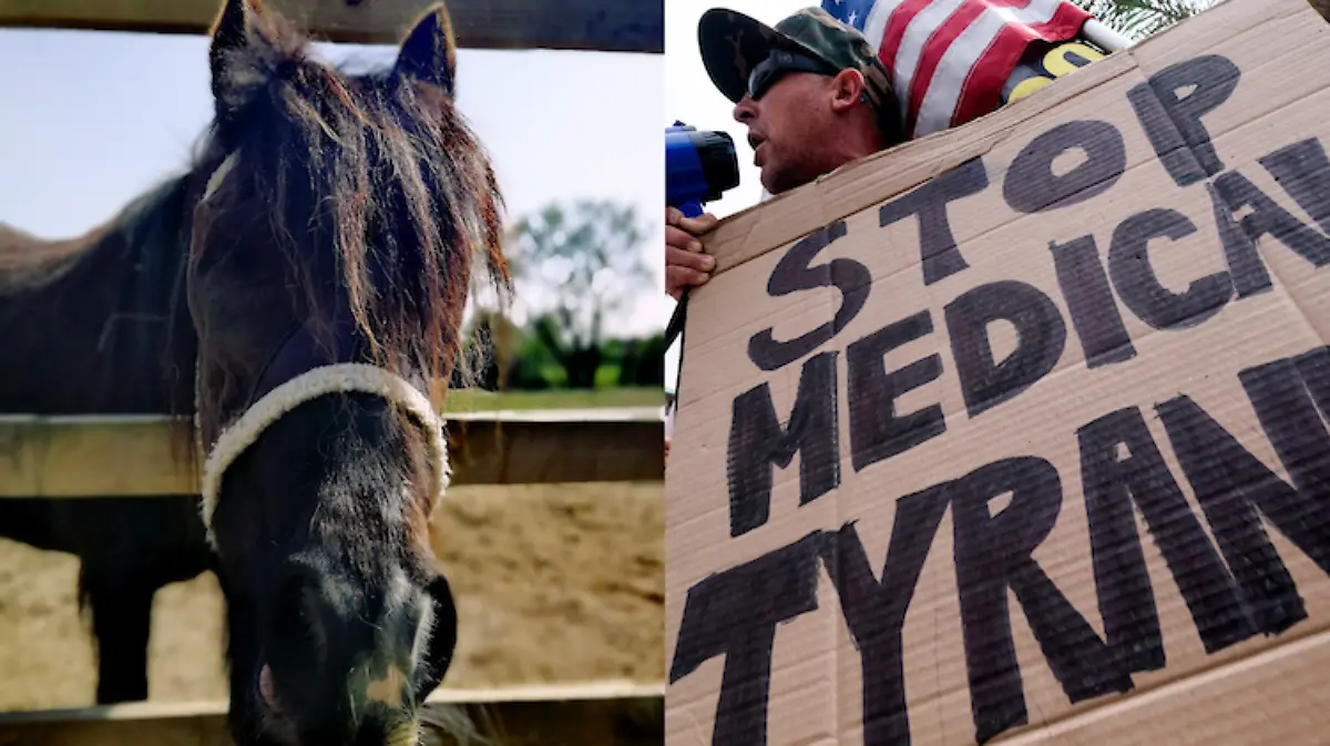 FDA pide no usar ivermectina para tratar el Covid-19