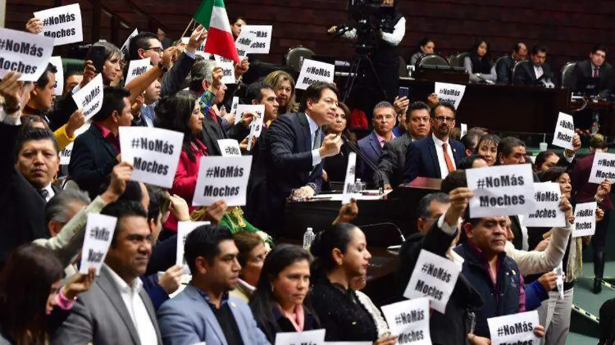 diputados LAURA LOVERA.3