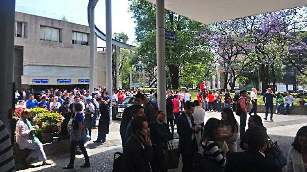 imagenes