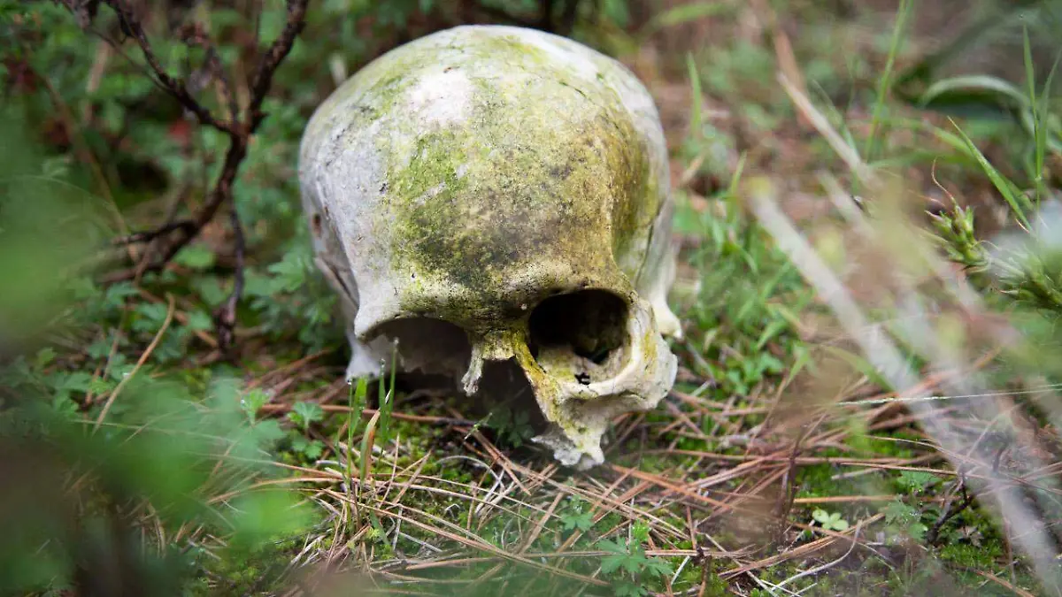 BUSQUEDA DE DESAPARECIDOS-luis barrera (1)