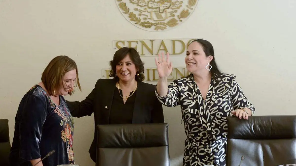 Irma Eréndira Sandoval