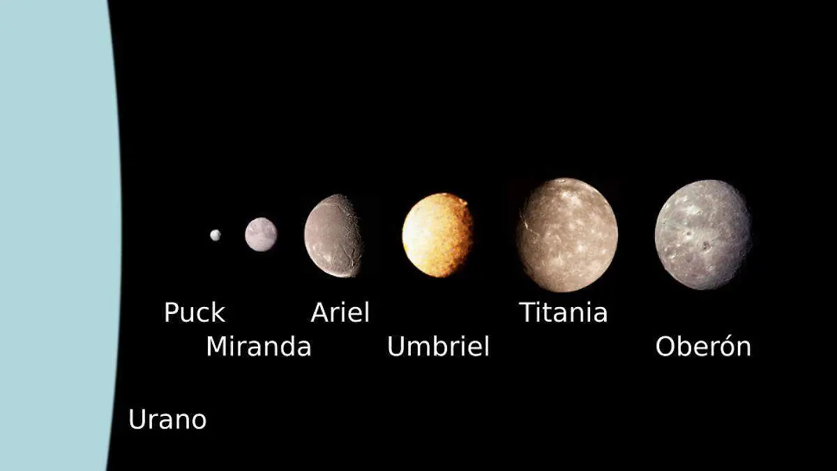 Lunas 7