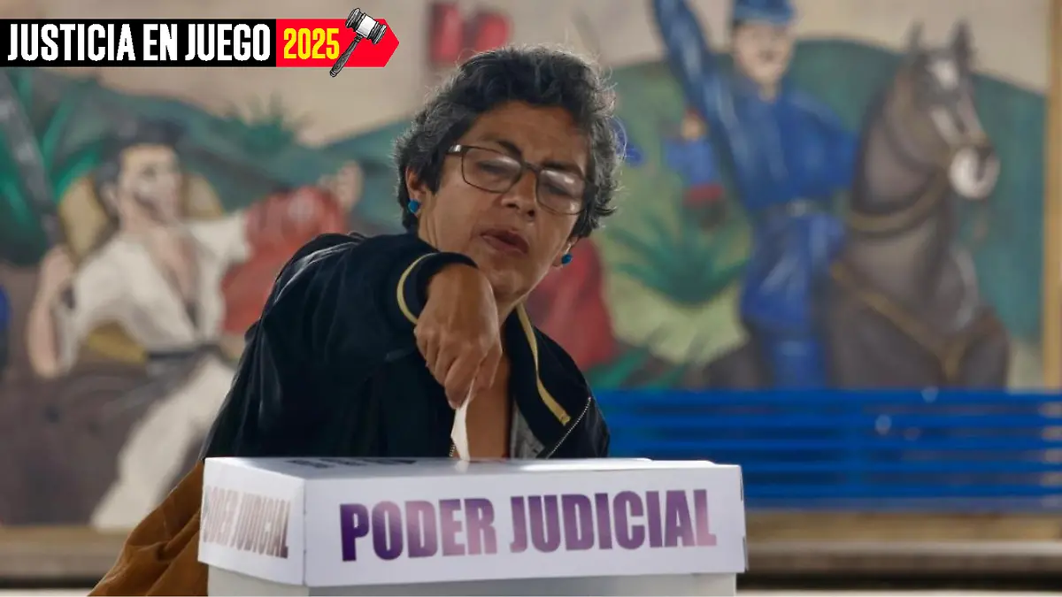 Elección Judicial (3)
