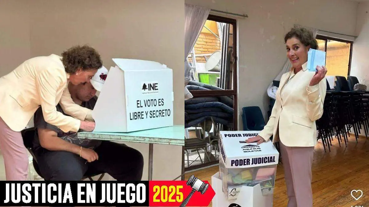Poder Judicial-Elecciones (2)